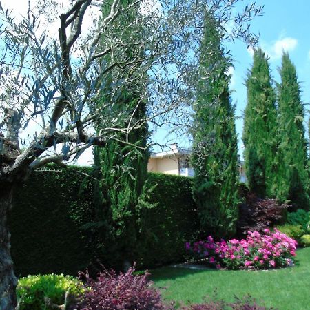 Mestrino Ai Cipressi B&B المظهر الخارجي الصورة