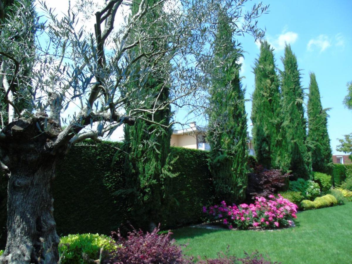 Mestrino Ai Cipressi B&B المظهر الخارجي الصورة
