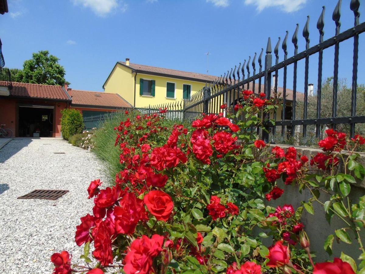 Mestrino Ai Cipressi B&B المظهر الخارجي الصورة